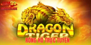 Rồng Hổ Trực Tuyến - Kinh Nghiệm Chơi Dễ Thắng Cho Tân Thủ